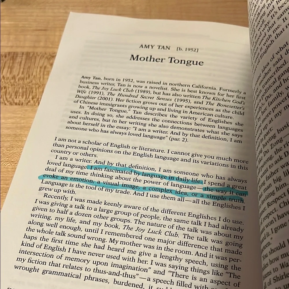 A New Handbook of Literary Terms and Made with Words BUNDLE - Picture 7 of 8